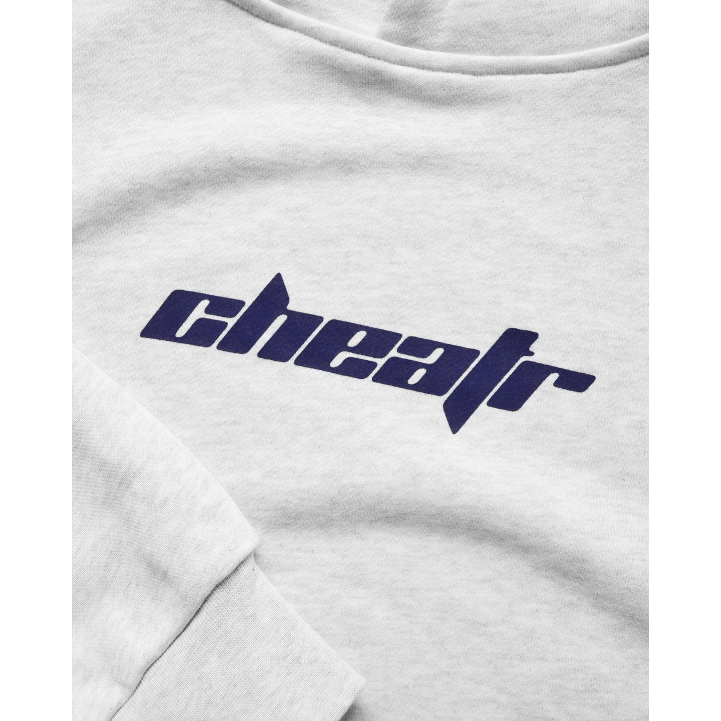 Logo Hoodie, Ash