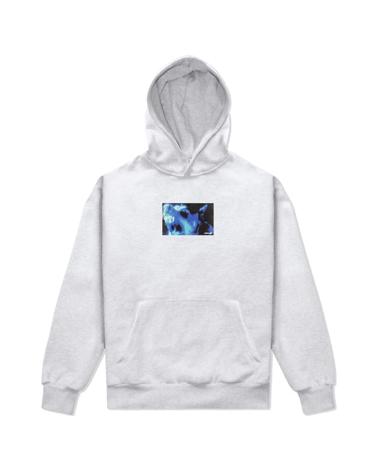 Dog Hoodie, Ash