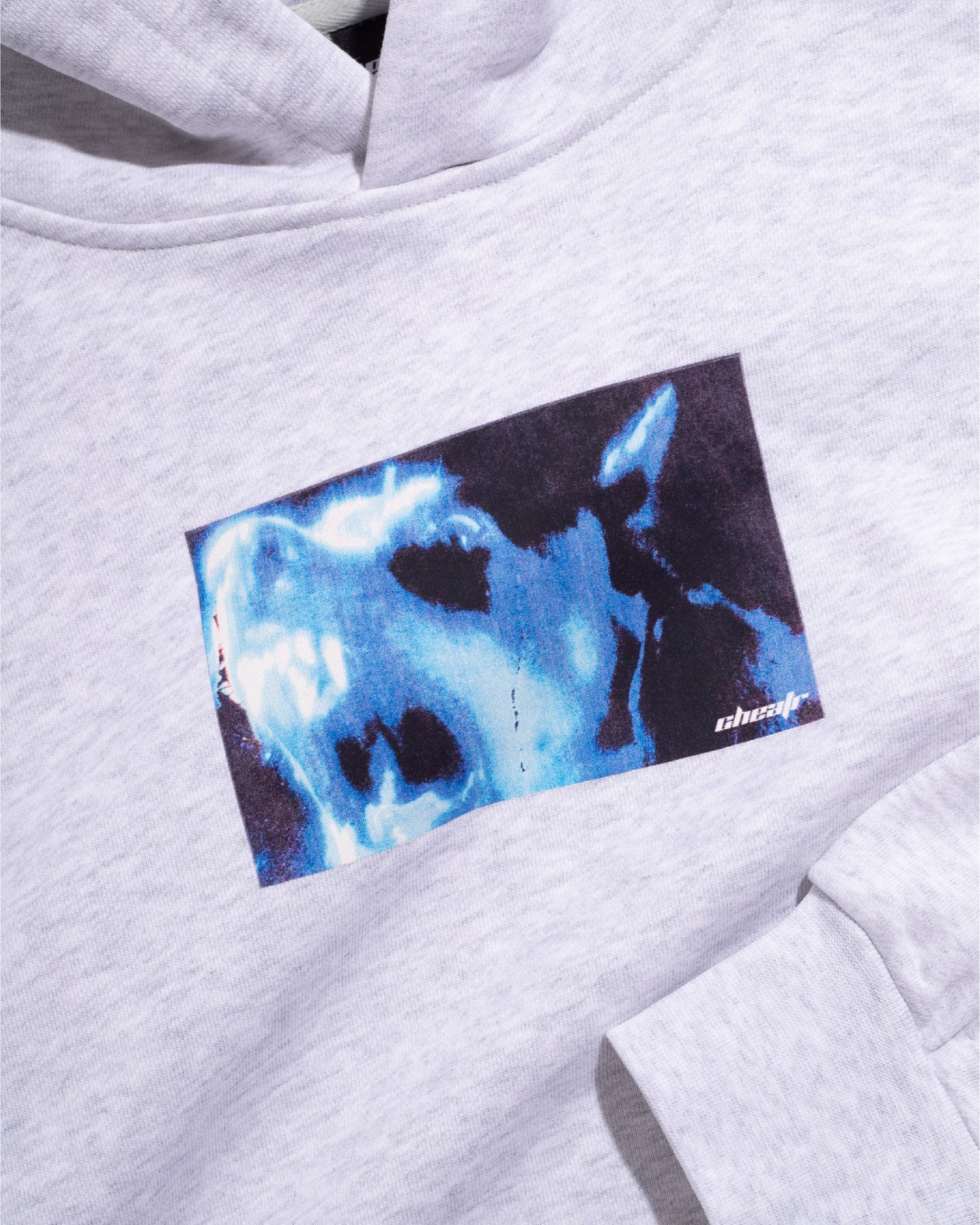Dog Hoodie, Ash