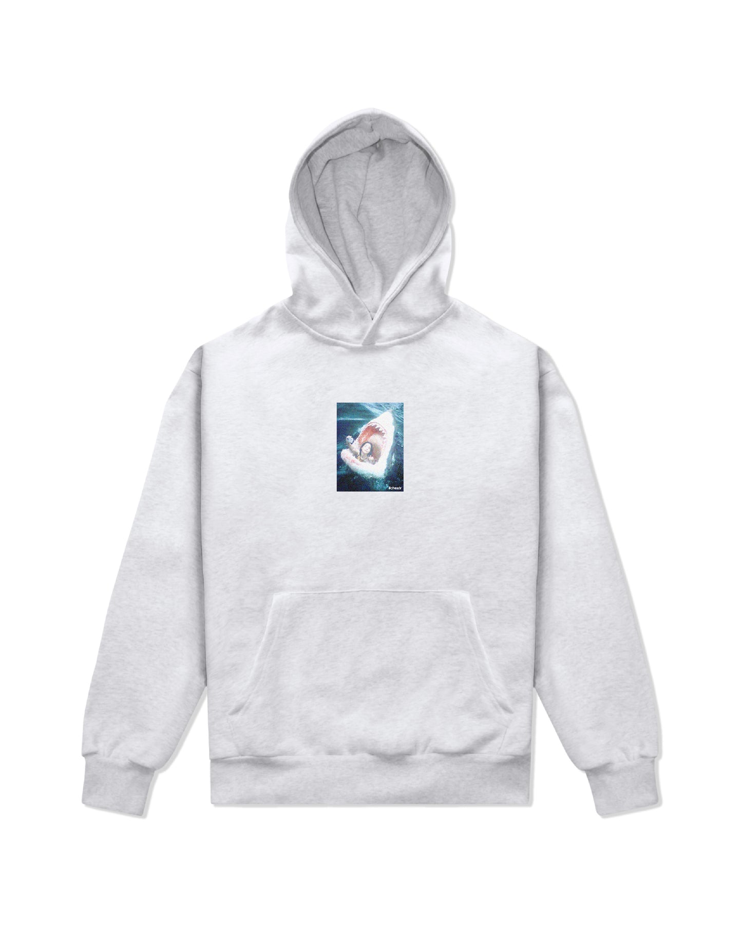 Selfie Hoodie, Ash