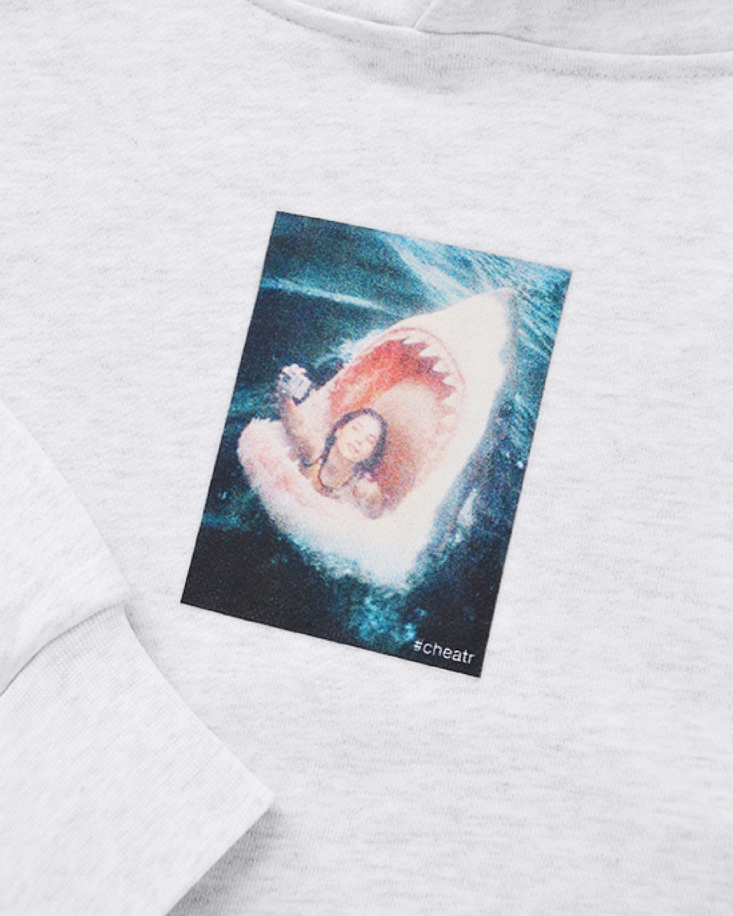 Selfie Hoodie, Ash